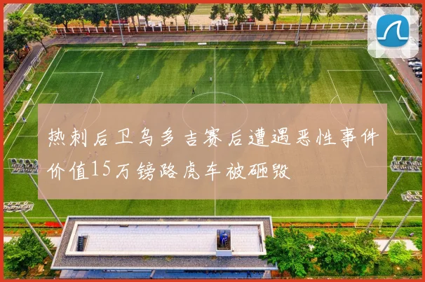 热刺后卫乌多吉赛后遭遇恶性事件价值15万镑路虎车被砸毁